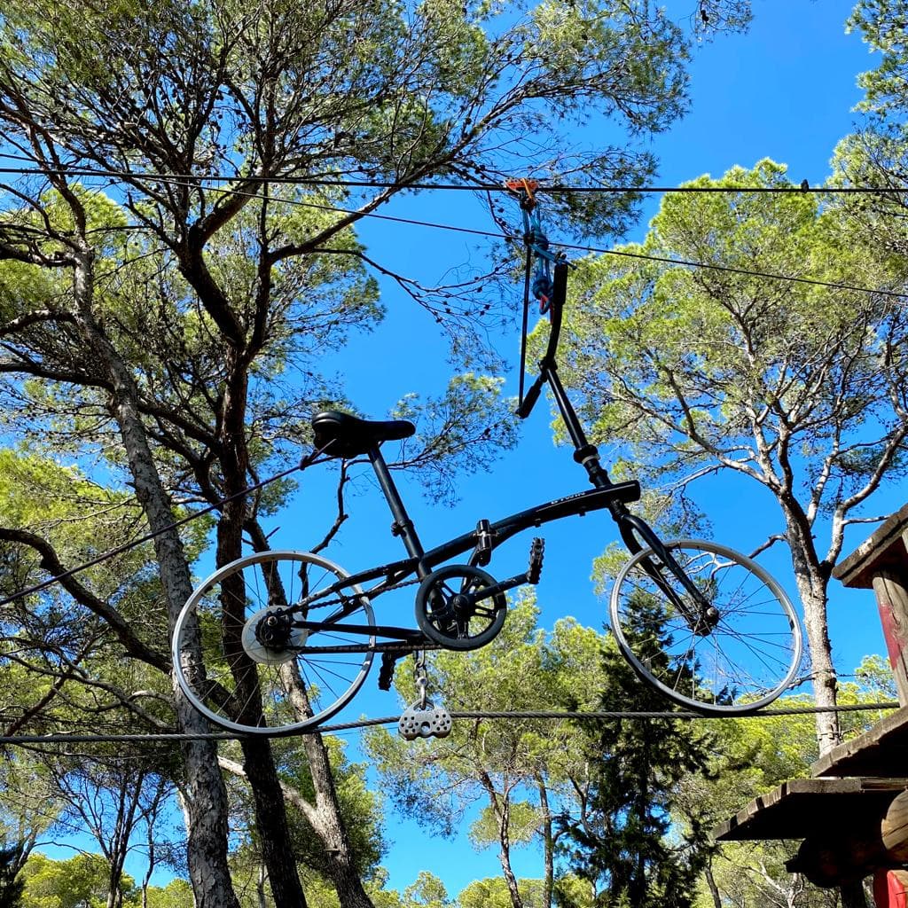 Acrobosc activity for families in Ibiza