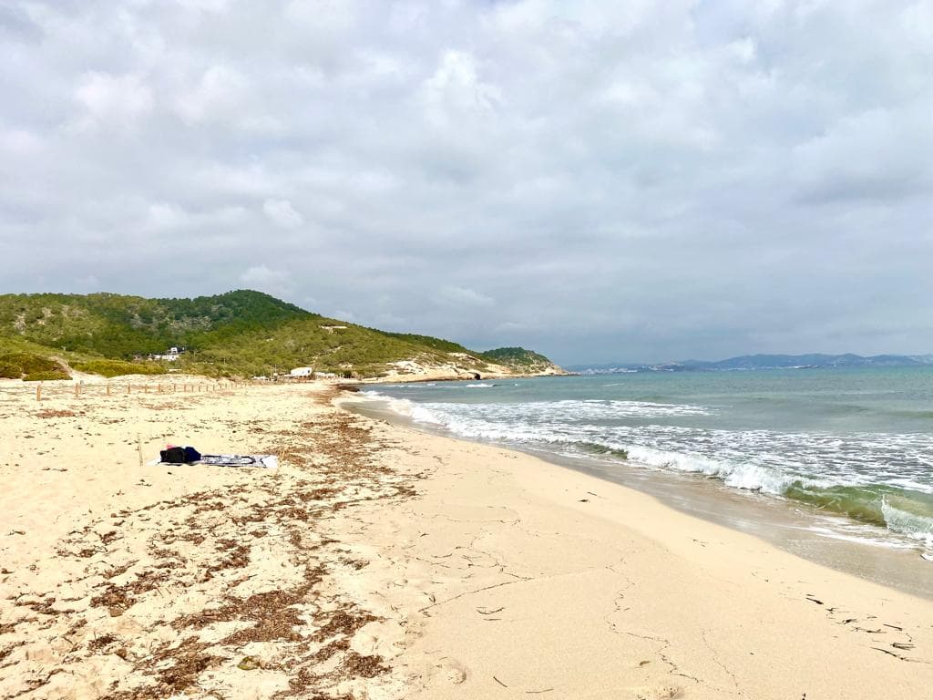 Winter beach scene in Ibiza