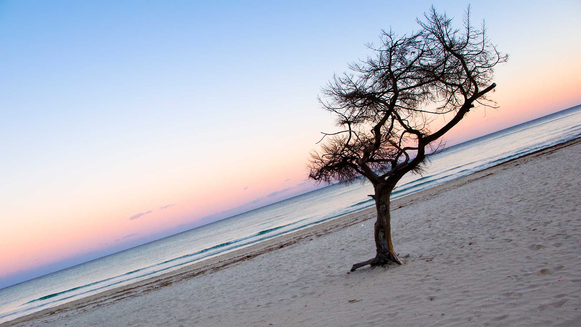 Autumn in Ibiza