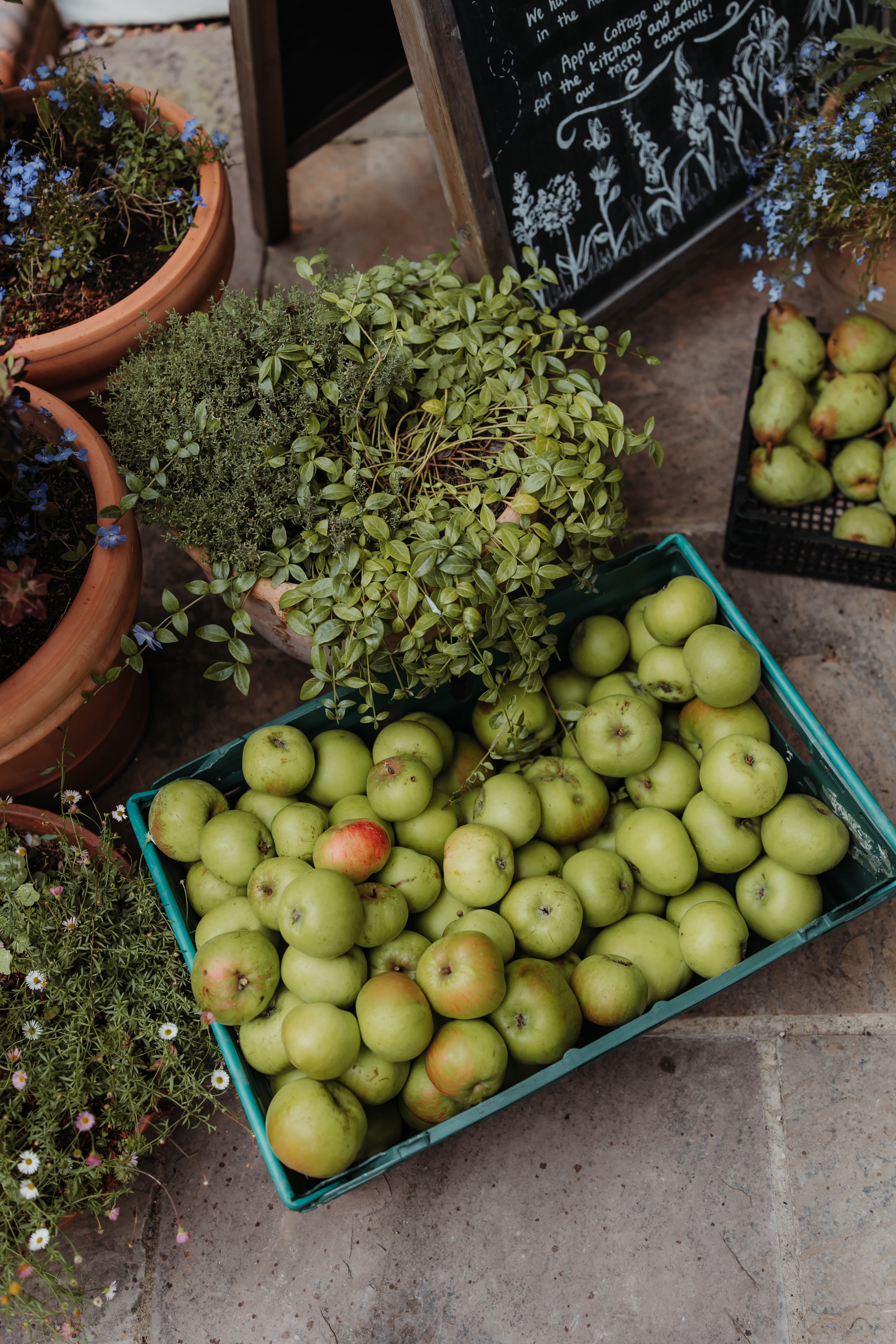 Autumn Chutneys & Jams Cooking Class