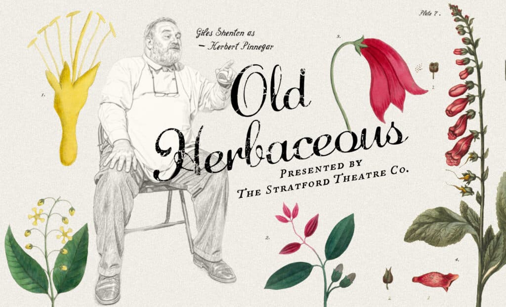 Old Herbaceous