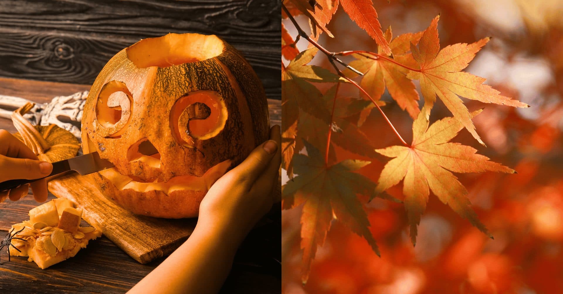 The Great Hart’s Pumpkin Carving Competition