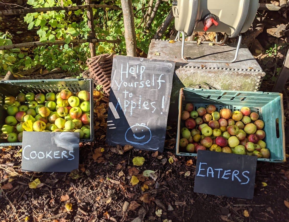 Apple Day
