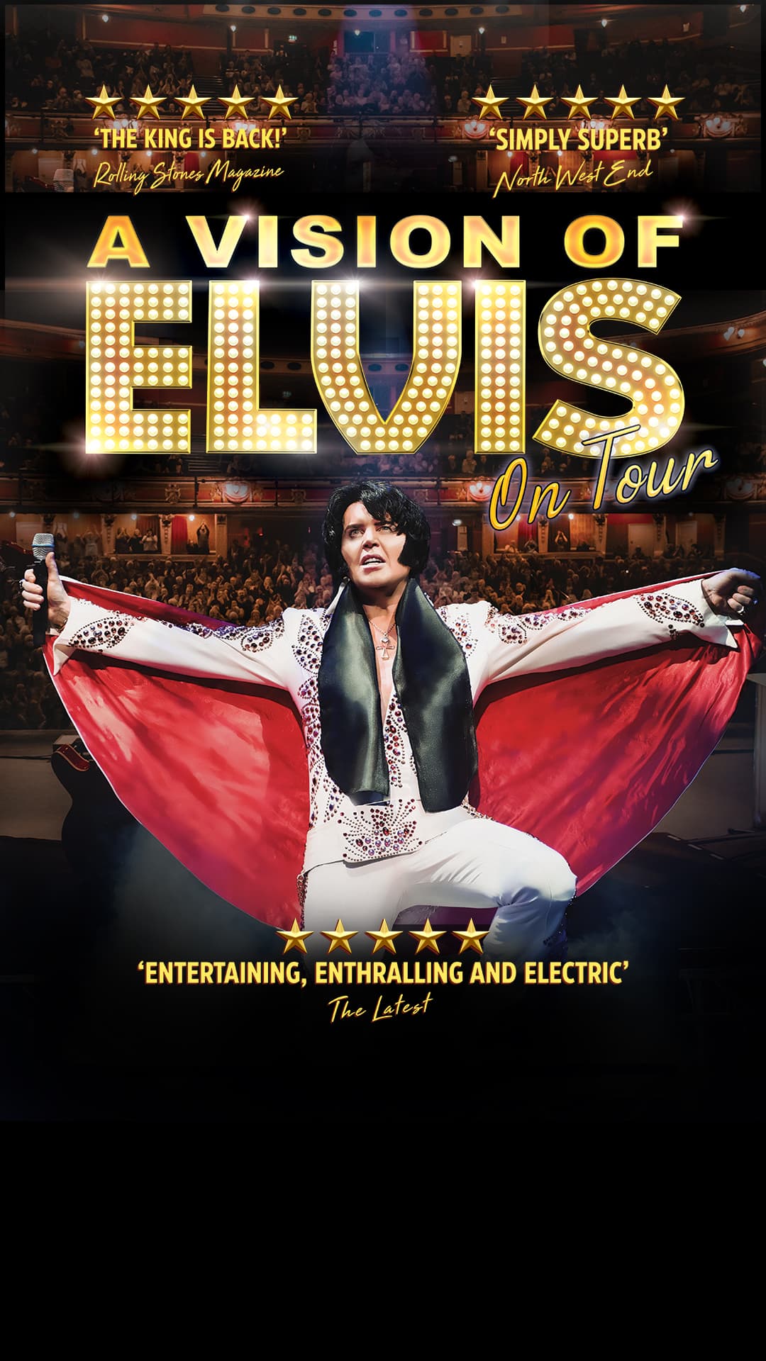 A Vision of Elvis