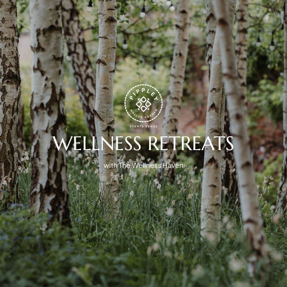 Wellness Retreat with The Wellness Haven