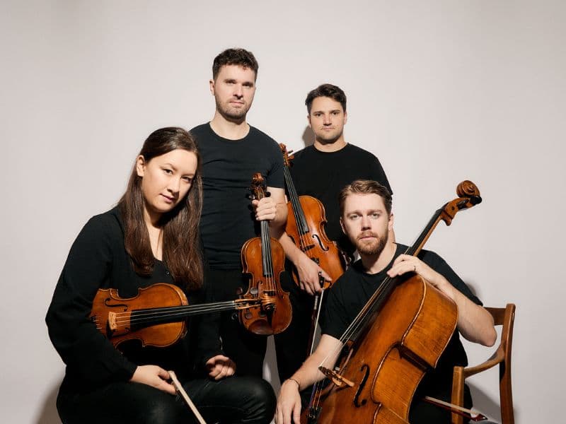 OPUS13 