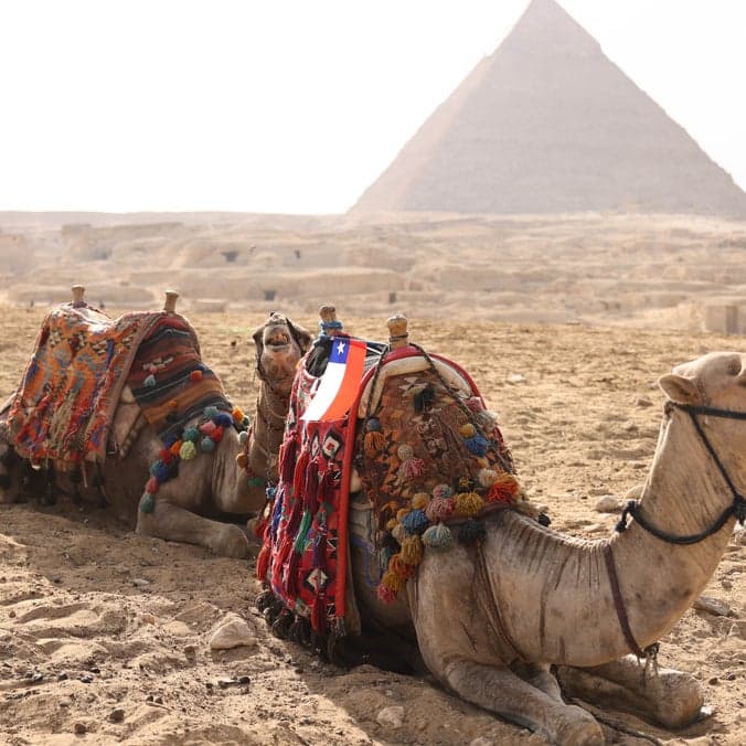 5 spots left. Explore Egypt with 8 fellow adventure travelers for the holidays