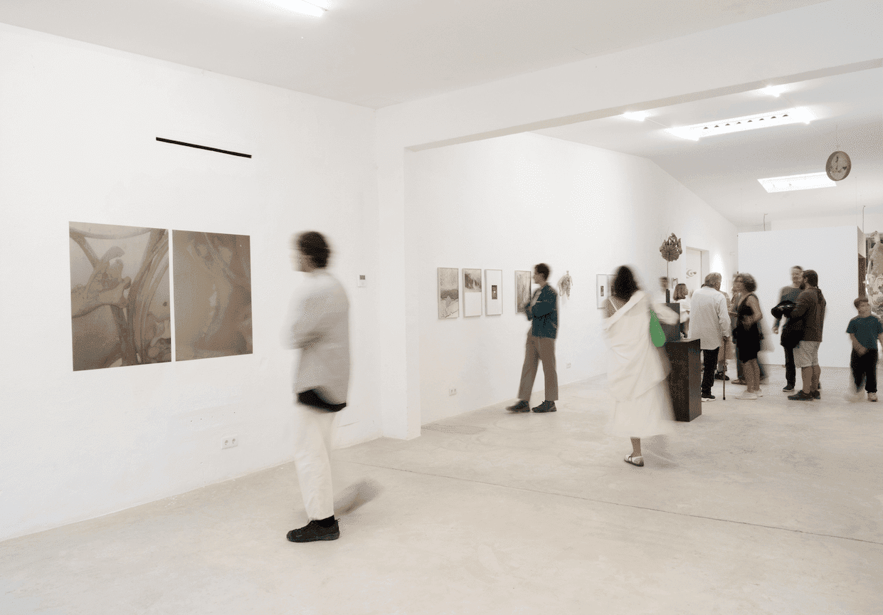 Ses12naus Opens Its Call for Artistic Residencies 2026/2027