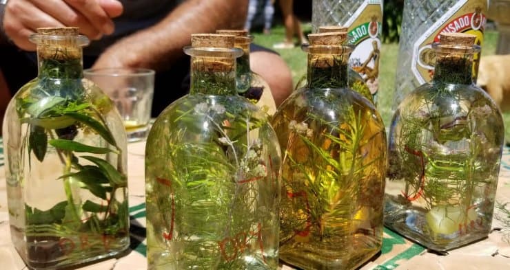 Make Your Own Hierbas With Ibiza Outdoors