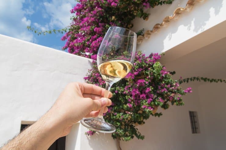 Guided Tours And Wine Tasting At Can Rich