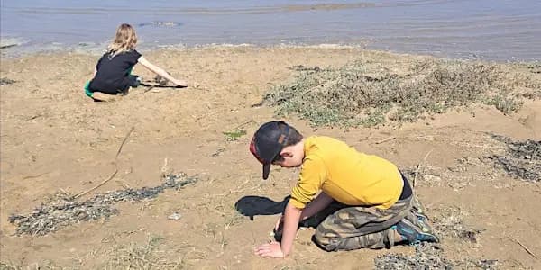 Home Education: The Changing Landscape at Rye Harbour