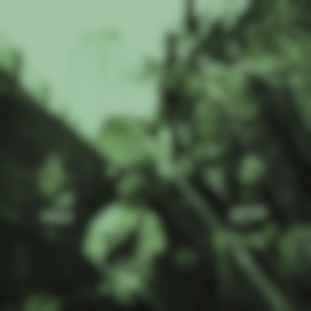 North Coast Fest - Aberdeen