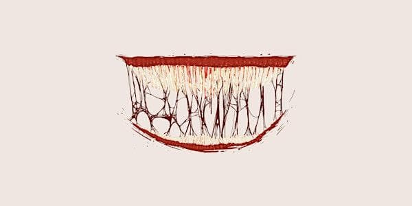 The Psychology of Horror Movies: How horror speaks to the subconscious