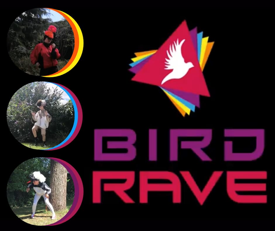 Bird Rave
