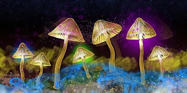 The Science of Psychedelics with Neuroscientist Maria Balaet