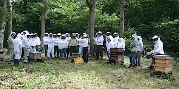 WGBKA Introduction to Beekeeping 2026