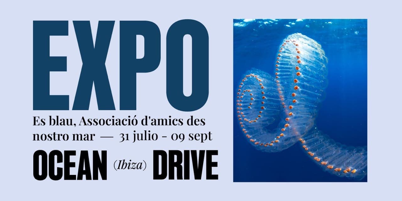 Es Blau Exhibition