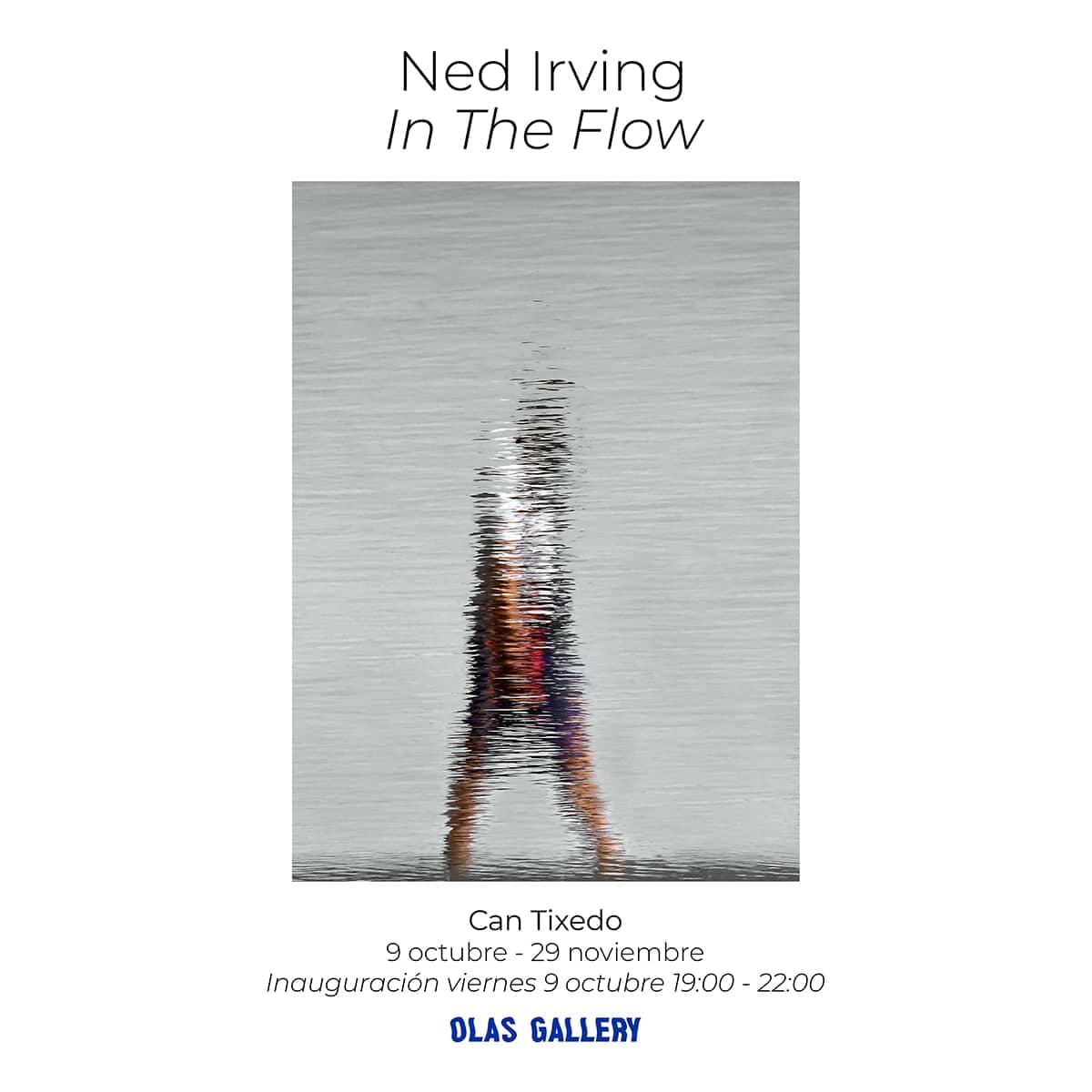 In The Flow Exposición de Ned Irving