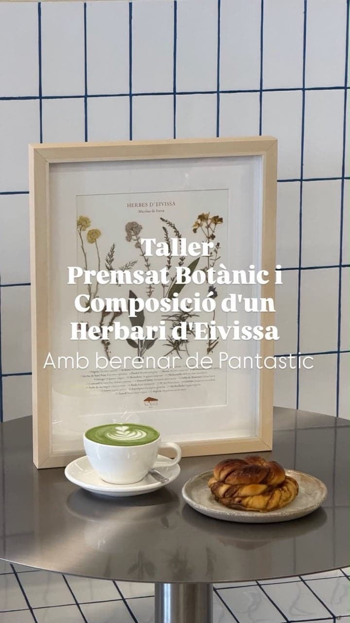 Taller De Prensado Botánico Y Composición De Un Herbario Con Sa Terra Ibiza
