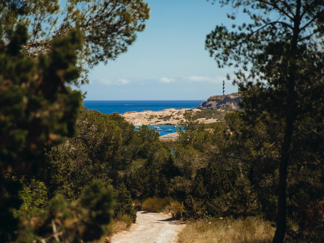 Oceanic Global’s 2026 Short Film Festival at Nômade Temple Ibiza